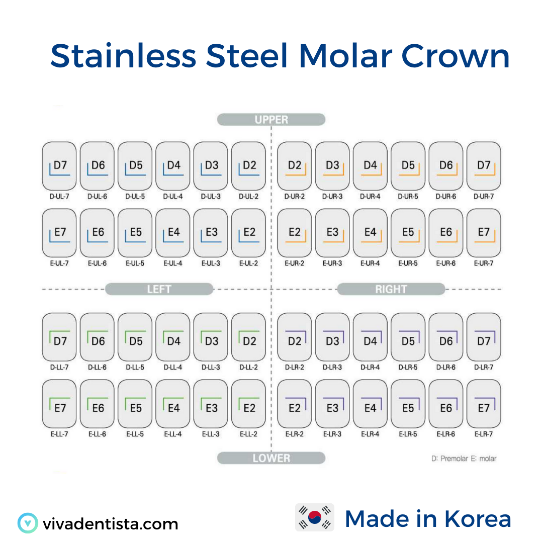 Stainless Steel Molar Crown (Set of 96pcs)