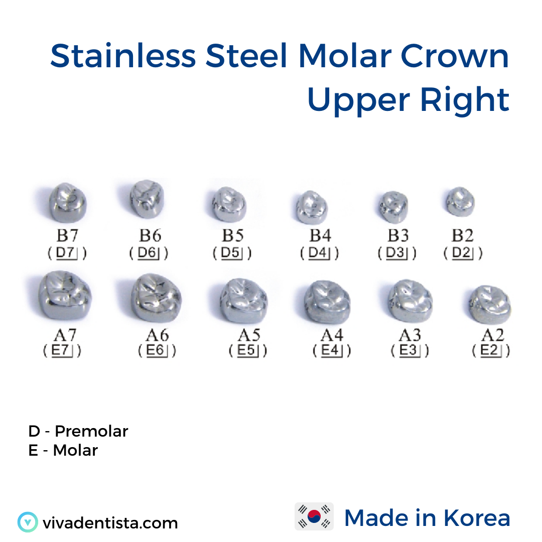 Stainless Steel Molar Crown (Upper Right)