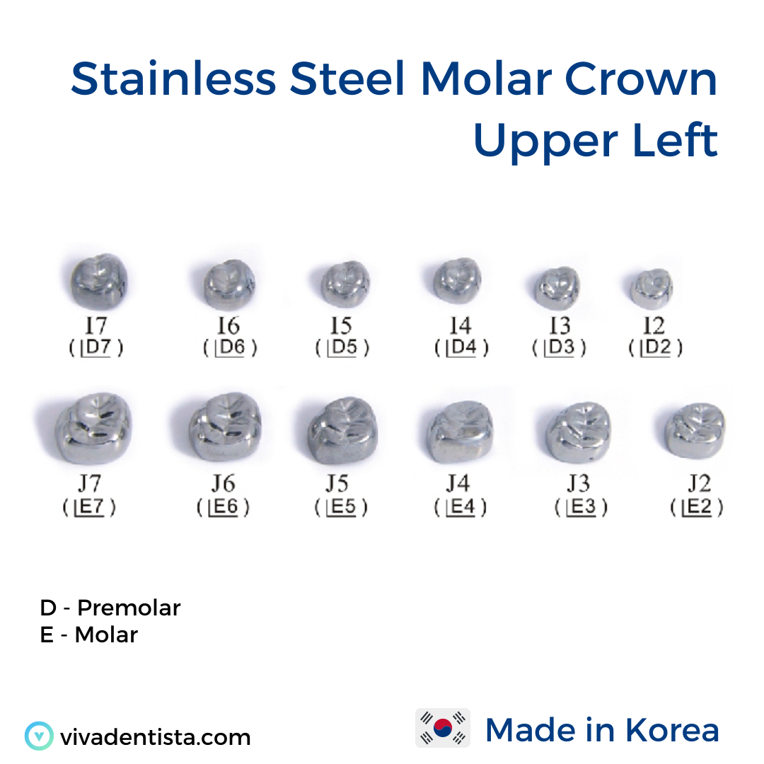 Stainless Steel Molar Crown (Upper Left)
