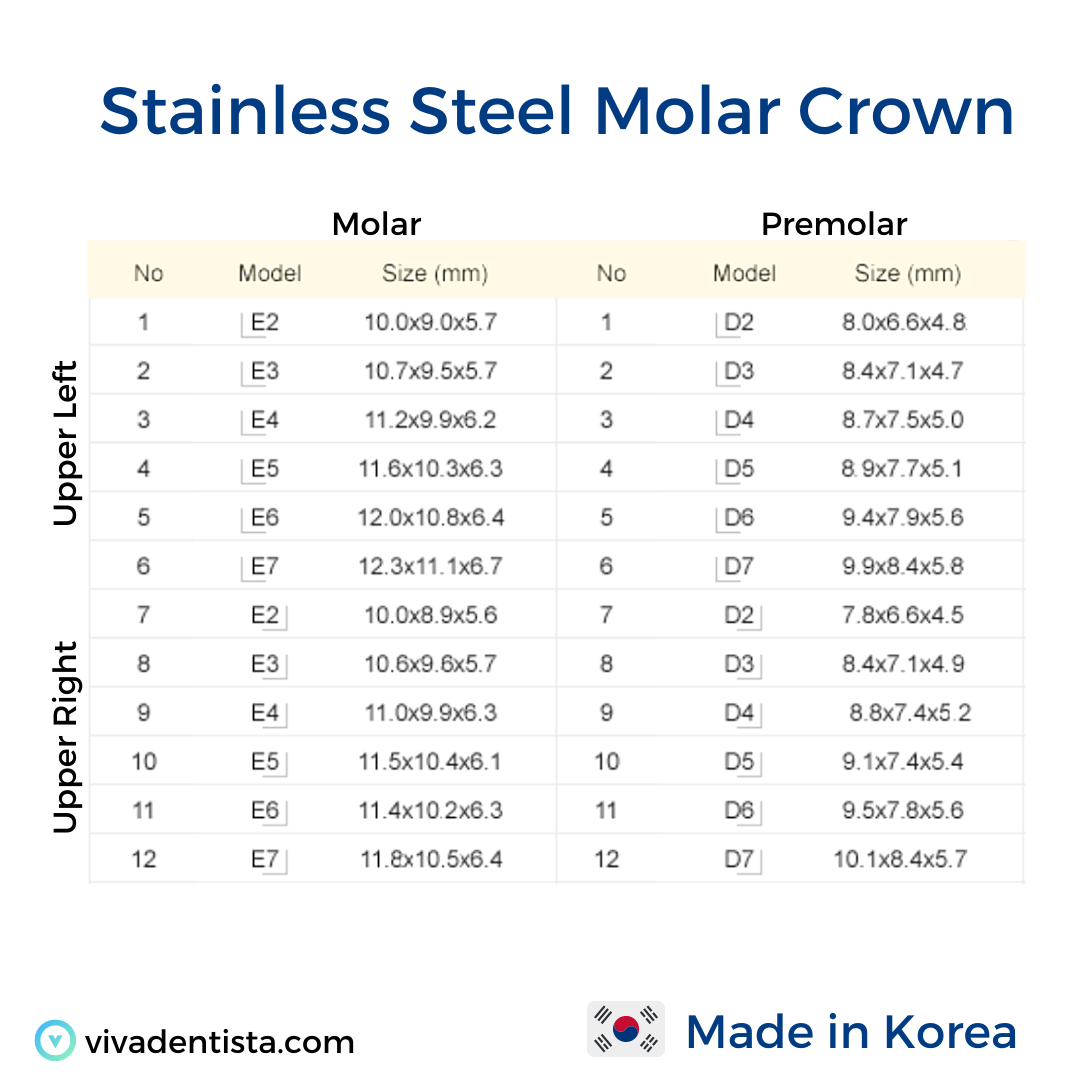 Stainless Steel Molar Crown (Upper Right)