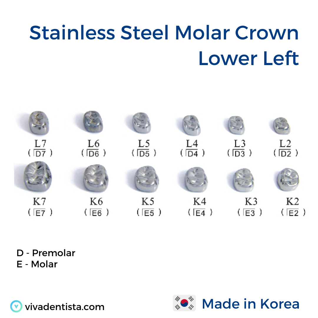 Stainless Steel Molar Crown (Lower Left)
