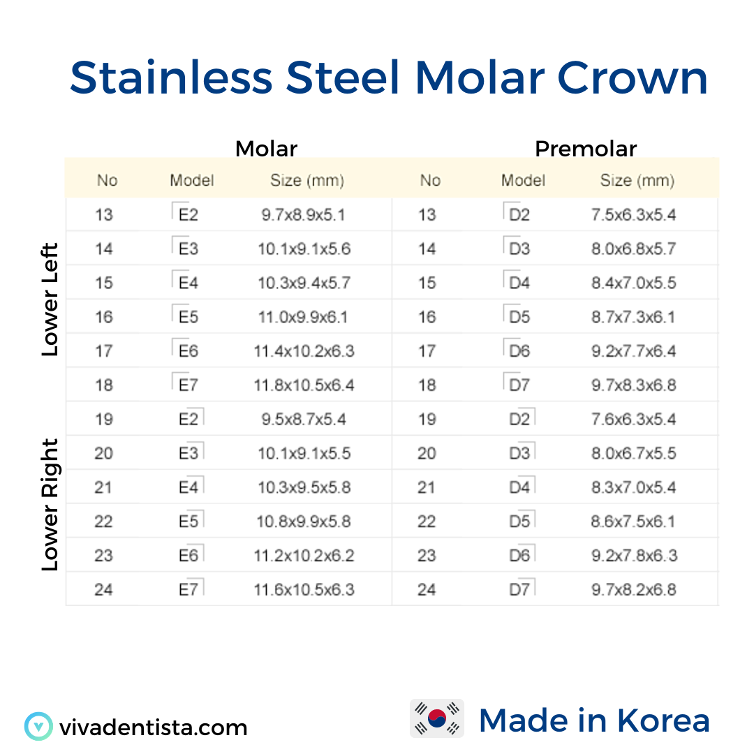 Stainless Steel Molar Crown (Lower Left)