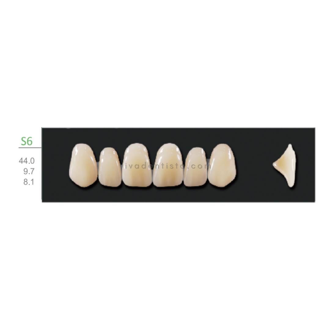 Huge Kaili Synthetic Polymer Teeth (Upper Anterior) - Square