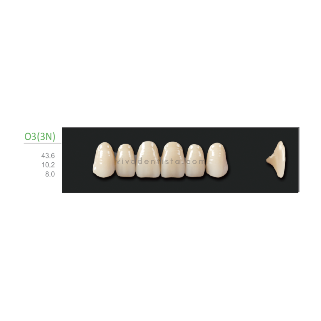 Huge Kaili Synthetic Polymer Teeth (Upper Anterior) - Ovoid