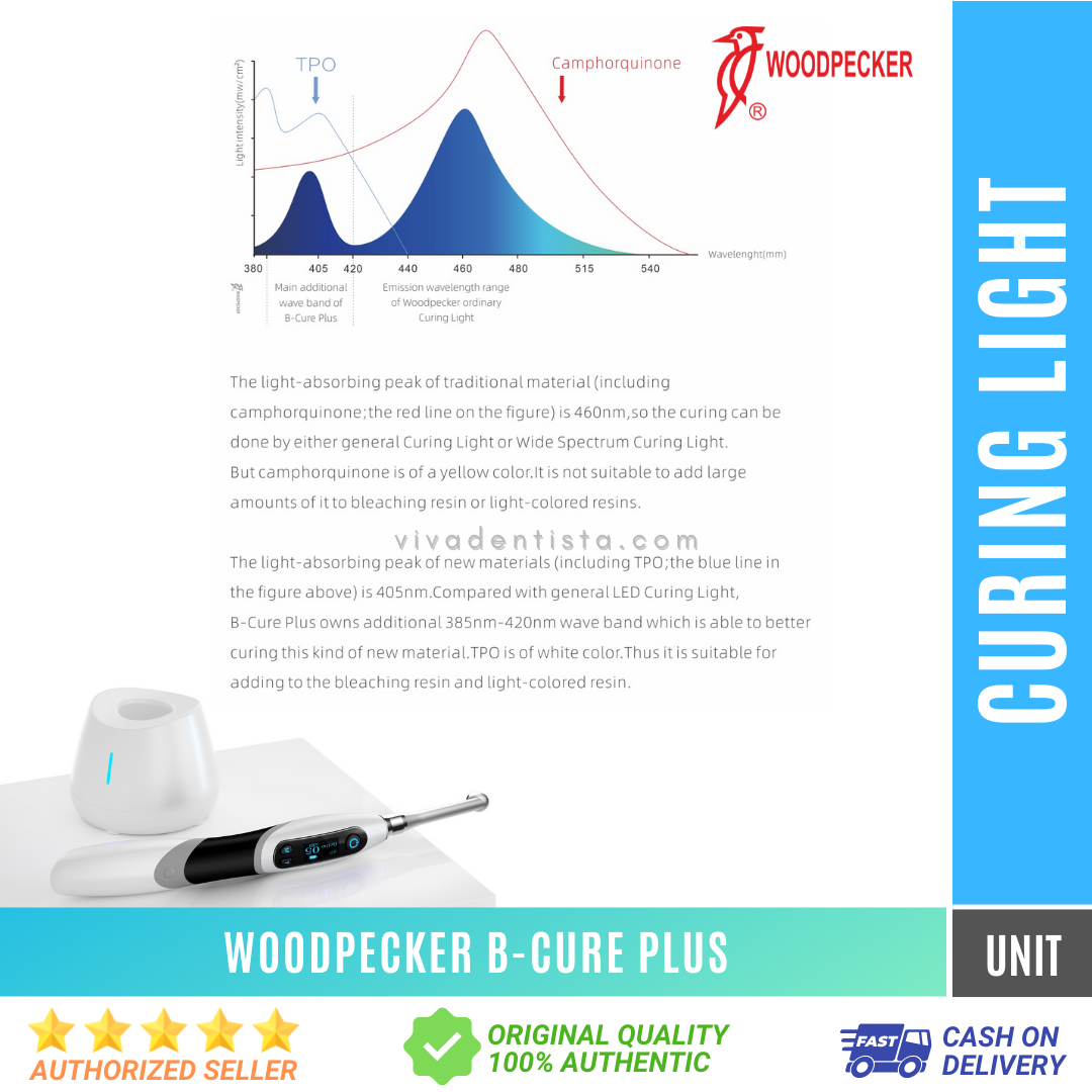 Curing Light B-Cure Plus