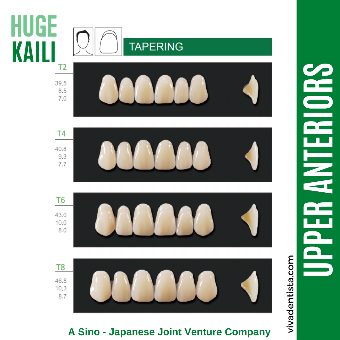 Huge Kaili Synthetic Polymer Teeth (Upper Anterior) - Tapering