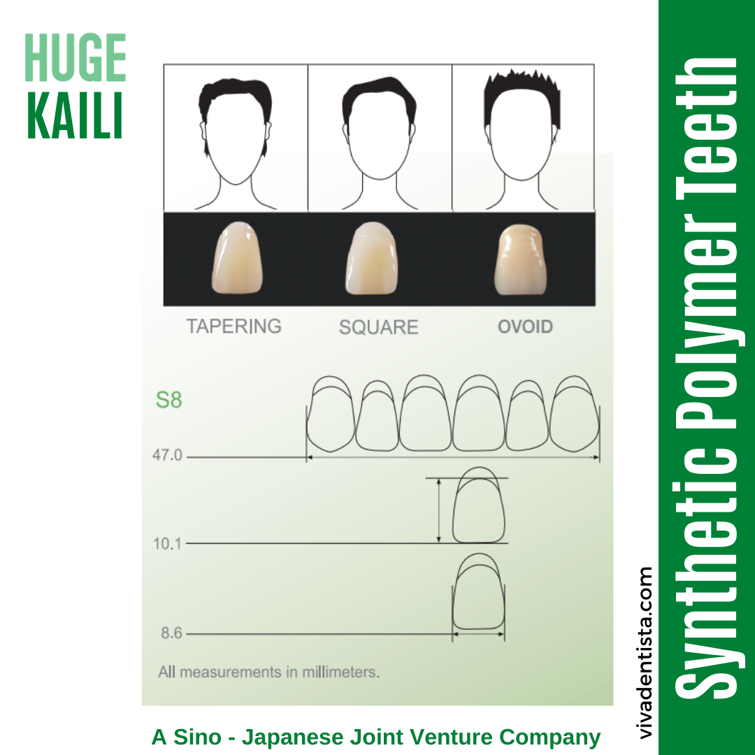 Huge Kaili Synthetic Polymer Teeth (Upper Anterior) - Square